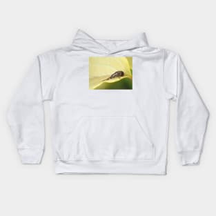 Tiny weevil beetle identified as Sciopithes obscurus - Obscure Root Weevil Kids Hoodie